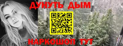 амф Новозыбков