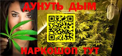 амф Новозыбков