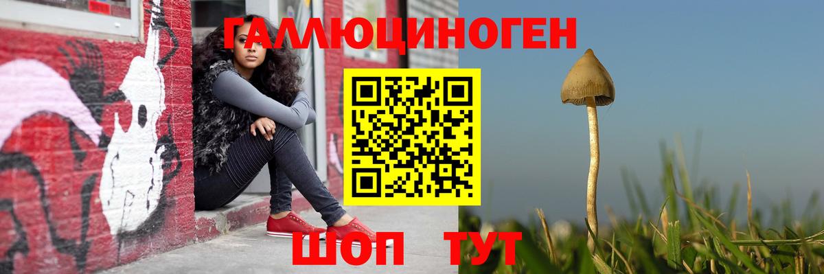 Урус-Мартан  Псилоцибиновые грибы прущие грибы  Вход с VPN  Псилоцибиновые грибы MAGIC MUSHROOMS 